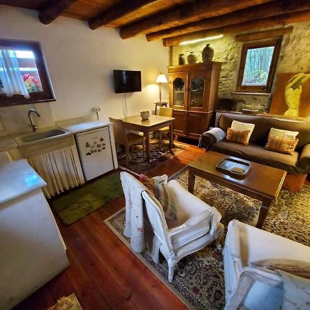 El Solei Paraiso En El Montseny Arbúcies Zewnętrze zdjęcie
