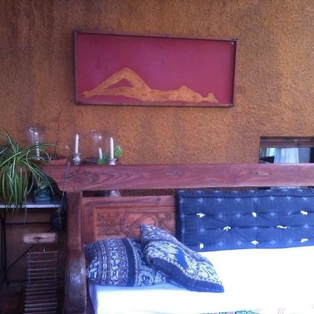El Solei Paraiso En El Montseny Arbúcies Zewnętrze zdjęcie