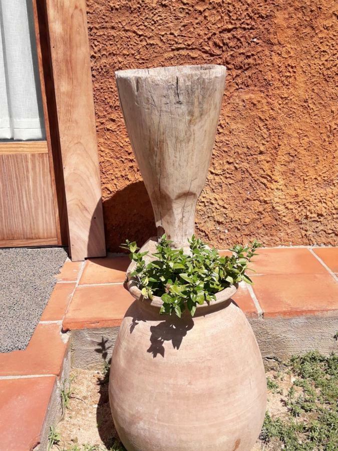 El Solei Paraiso En El Montseny Arbúcies Zewnętrze zdjęcie