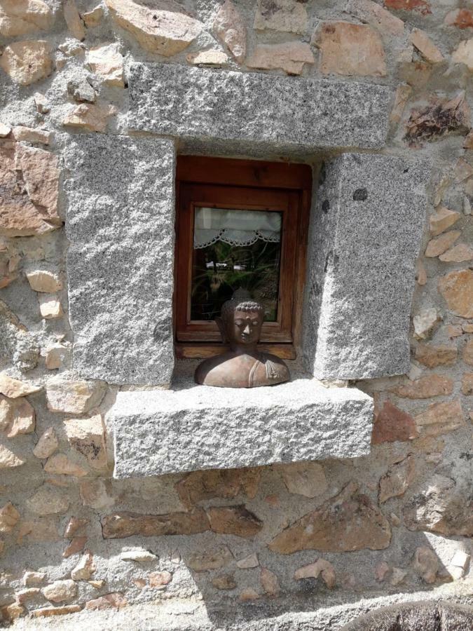 El Solei Paraiso En El Montseny Arbúcies Zewnętrze zdjęcie
