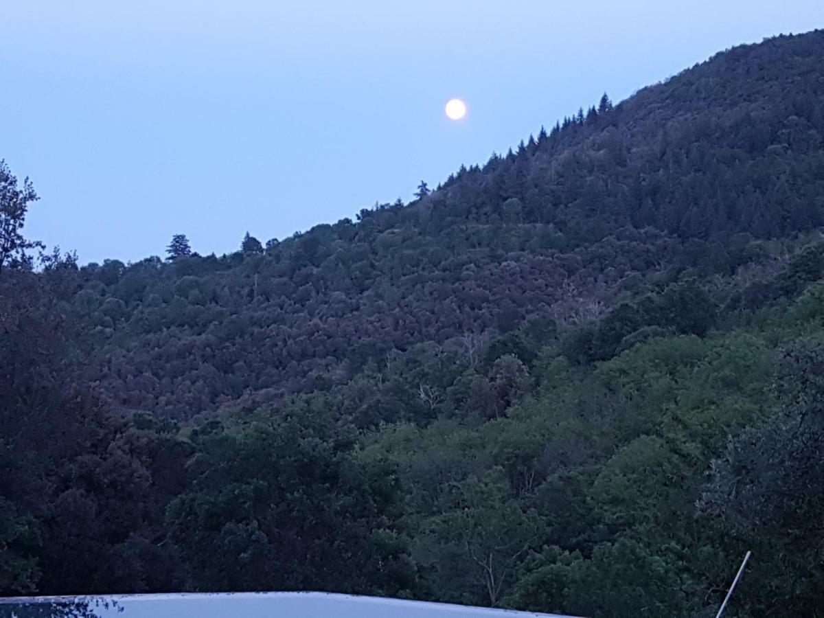 El Solei Paraiso En El Montseny Arbúcies Zewnętrze zdjęcie