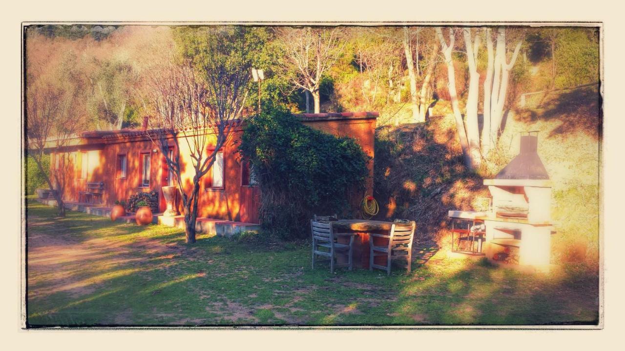 El Solei Paraiso En El Montseny Arbúcies Zewnętrze zdjęcie