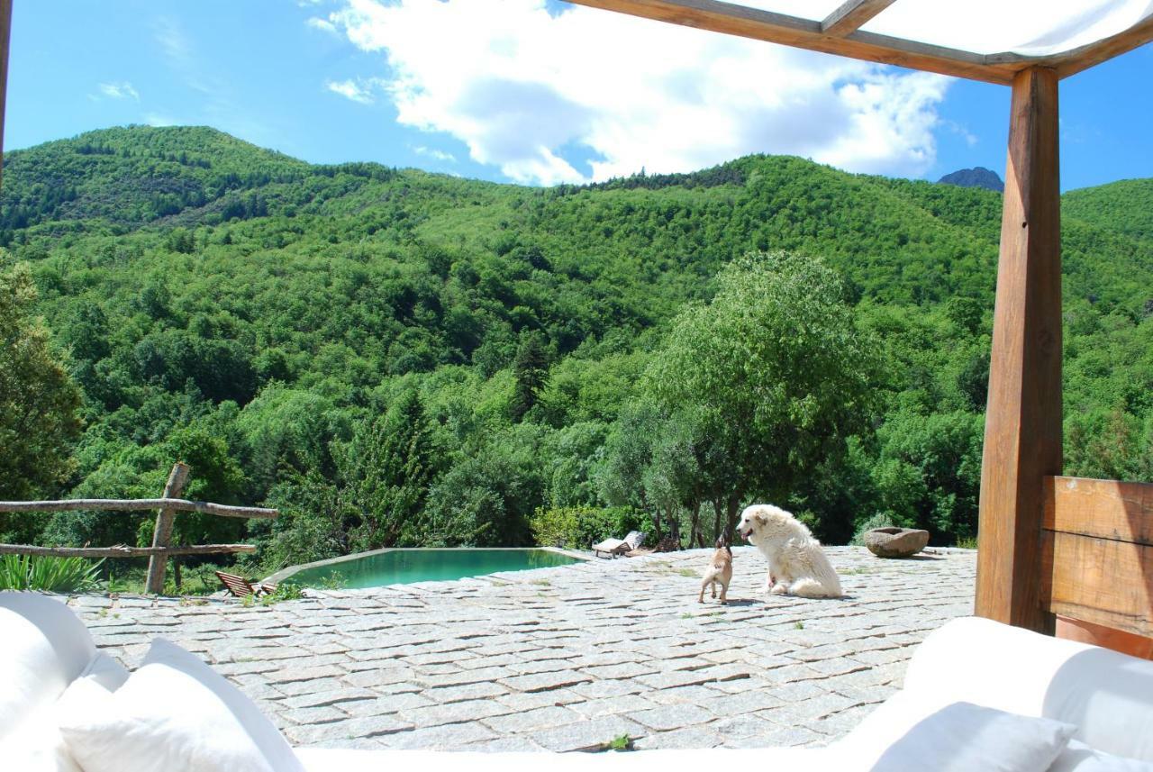 El Solei Paraiso En El Montseny Arbúcies Zewnętrze zdjęcie