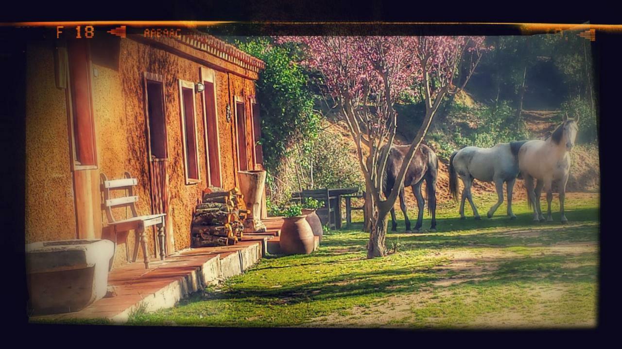 El Solei Paraiso En El Montseny Arbúcies Zewnętrze zdjęcie