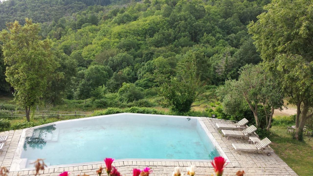 El Solei Paraiso En El Montseny Arbúcies Zewnętrze zdjęcie