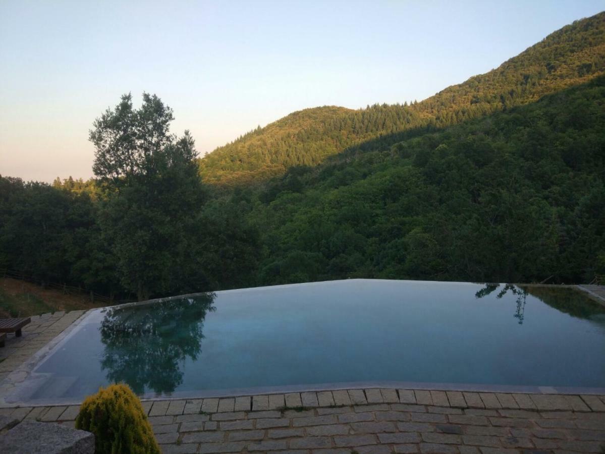 El Solei Paraiso En El Montseny Arbúcies Zewnętrze zdjęcie